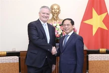 Le ministre des Affaires étrangères Bui Thanh Son (à droite) et le secrétaire général de l'Organisation de Coopération et de Développement économiques (OCDE) Mathias Cormann. Photo : VNA.