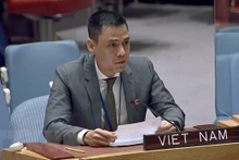 Le représentant permanent du Vietnam auprès de l’ONU Dang Hoàng Giang. Photo: VNA.
