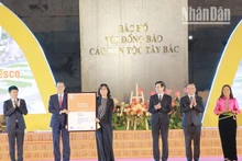 La cheffe du Service de l’éducation de l’UNESCO à Hanoï, Miki Nozawa, remet un certificat de ville mondiale apprenante au vice-ministre de l’Éducation et de la Formation, Pham Ngoc Thuong.