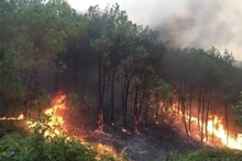 Zone forestière incendiée dans la province de Nghe An dans l'après-midi du 30 avril 2024. Photo : baochinhphu.vn