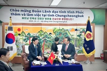 Kim Young-Hwan, gouverneur de la province de Chungcheongbuk reçoit la délégation de Vinh Phuc. Photo : VNA.