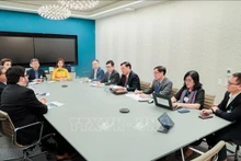 Le vice-ministre vietnamien de la Santé, Dô Xuân Tuyên (4e à partir de la droite) lors de la séance de travail avec les responsables du groupe Pfizer Inc. Photo : VNA.