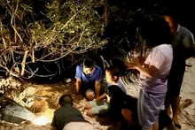 Des visiteurs observent des tortues marines pondre leurs œufs au Parc national de Côn Dao. Photo : VOV.