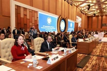 La Vice-Présidente vietnamienne Vo Thi Anh Xuân au 19e Sommet du Mouvement des non-alignés à Kampala, en Ouganda. Photo : VNA.
