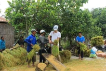 Un touriste étranger découvre le travail agricole à An Giang. Photo : VNA. 