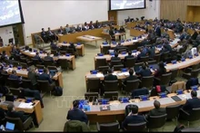 Panorama de débats de la de la Cinquième Commission. Photo: VNA 