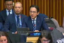 Le vice-ministre vietnamien des Affaires étrangères Do Hung Viet prend la parole lors de l'événement. Photo : VNA.
