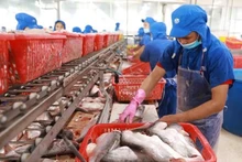 Transformation de pangasius. Photo: VNA