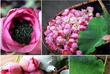 Le thé au lotus de Quang An est depuis longtemps une spécialité très appréciée de la capitale.