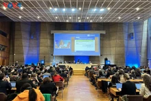 Le Vietnam obtient un siège au sein du Comité du Patrimoine mondial pour le mandat 2023 - 2027