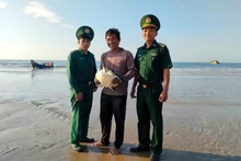 Les gardes-frontières du poste frontière de Phuoc Thuân, dans le district de Xuyên Môc, ont organisé la libération de la tortue de mer rare. Photo : VNA.