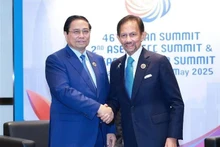 Le Premier ministre Pham Minh Chinh (gauche) rencontre le Sultan de Brunei en marge du 46e Sommet de l’ASEAN. Photo: VNA 