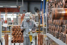 Une usine australienne de 46 millions de dollars entre en service à Binh Duong