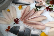 Les exportations de pangasius du Vietnam vers le Brésil continuent d’afficher une bonne progression. Photo : thanhnien.vn