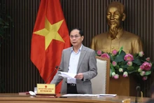 Le vice-Premier ministre Bui Thanh Son, ministre des Affaires étrangères lors de la réunion. Photo : VNA 