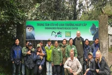 Visite du Centre de sauvetage des primates en danger.