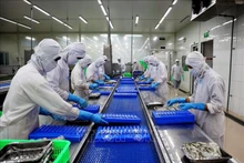 Transformation des produits aquatiques pour les exportations. Photo : VNA