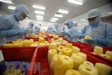 Les exportations lao vers le Vietnam en juin ont atteint 115 millions de dollars. Photo : VNA