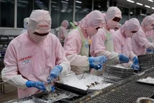 Tranformation de crevettes pour l'exportation. Photo : VNA.