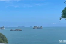 Ces dernières années, le Vietnam a enregistré des progrès significatifs dans la protection de l’environnement marin, en s’appuyant sur la science et la technologie pour construire une économie bleue durable. Photo : NDEL.