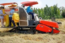 Récolte de riz dans la province de Soc Trang. Photo : NDEL
