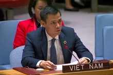 L'ambassadeur Dang Hoang Giang, représentant permanent du Vietnam auprès des Nations Unies (ONU). Photo : VNA.