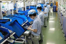 Un entreprise en activité dans le Parc industriel Vietnam - Singapour (VSIP) situé dans le chef-lieu de Tân Uyên, province de Binh Duong. Photo : VNA.