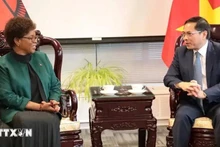 La ministre des Affaires étrangères du Malawi, Nancy Tempo, et le vice-Premier ministre et ministre vietnamien des Affaires étrangères, Bui Thanh Son. Photo : VNA.