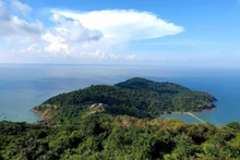 Hon Khoai est une île de rochers, de collines et de forêt vierge presque intacte avec de nombreux types de bois précieux et une flore et une faune riches. Photo : baoquocte.vn