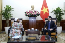 Le vice-ministre des AE Dô Hung Viet (à droite) et la représentante en chef de l’ONU Femmes, Caroline Tinashe Nyamayemombe, le 14 mars à Hanoi. Photo : thoidai.com.vn
