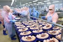 Transformation de crevettes destinées à être exportées vers les USA et le Japon à la société Minh Phu. Photo: VNA