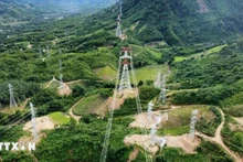 La section vietnamienne de la ligne électrique 500 kV Monsoon-Thanh My. Photo : VNA.