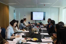 La 6e réunion du Comité mixte belgo-vietnamien pour la recherche et le développement scientifiques avec la Politique scientifique fédérale. Photo : VNA.