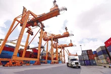 L’empreinte du Vietnam dans la chaîne d’approvisionnement mondiale en matières premières est de plus en plus nette, puisque jusqu’à 53 milliards de dollars de produits agricoles ont été vendus dans le monde. Photo : baodautu.vn