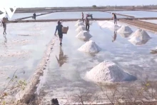 Bac Lieu, surnommée la « capitale du sel » du Vietnam. Photo : VOV.
