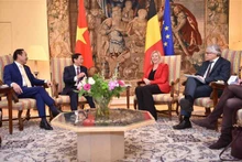 Le ministre des Affaires étrangères, Bui Thanh Son, rencontre la présidente de la Chambre des représentants belge, Eliane Tillieux, le 1er février 2024, à Bruxelles. Photo : VNA.