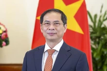 Le ministre vietnamien des Affaires étrangères Bui Thanh Son. Photo : CPV