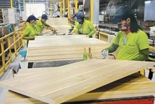 Ouvriers travaillant dans une usine de bois dans la province méridionale de Binh Duong. Photo : VNA.