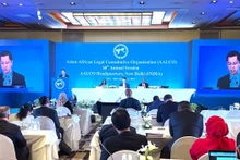 L'ambassadeur vietnamien en Inde, Nguyên Thanh Hai prononce son discours lors de la réunion. Photo : baoquocte.vn.