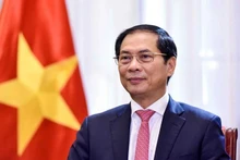 Le Vice-Premier ministre et ministre des Affaires étrangères du Vietnam, Bui Thanh Son. Photo : NDEL