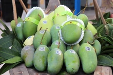 Mangue verte d'An Giang. Photo: VNA