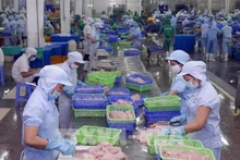 Transofrmation des pangasius pour l'exportation vers les États-Unis. Photo: VNA