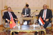 Le vice-président de l’Assemblée nationale du Vietnam, Nguyên Duc Hai (à gauche) et le vice-premier président de la Chambre des représentants égyptienne Ahmed Saad El-Din Mohamed Abd El-Rehim. Photo : VNA.