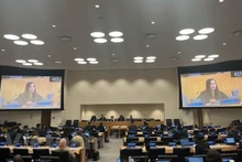 La ministre conseillère Lê Thi Minh Thoa lors d’une séance du 19 octobre de la Troisième Commission de l’Assemblée générale des Nations Unies. Photo: VNA