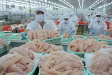 À la fin du troisième trimestre, les filets de poisson tra congelés du Vietnam exportés vers les États-Unis ont augmenté de 19% en volume par rapport à la même période l'an dernier. Photo : congthuong.vn.