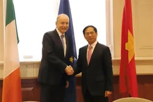 Le ministre vietnamien des Affaires étrangères Bùi Thanh Son (à droite) et le vice-Premier ministre irlandais, ministre des Affaires étrangères et ministre irlandais de la Défense Micheál Martin. Photo : VNA.