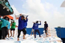 Au cour des onze premiers mois de cette année, les exportations vietnamienne de riz ont atteint près de 8,5 millions de tonnes. Photo : VNA.