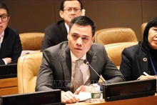 Le représentant en chef du Vietnam auprès de l’ONU, Dang Hoàng Giang. Photo : VNA