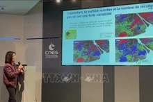 La scientifique « Viêt kiêu » en France, Lê Toàn Thuy. Photo : VNA.