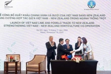 Cérémonie d’annonce du plan d’exportation de citrons verts et de pomelos vietnamiens vers la Nouvelle-Zélande. Photo : NDEL.